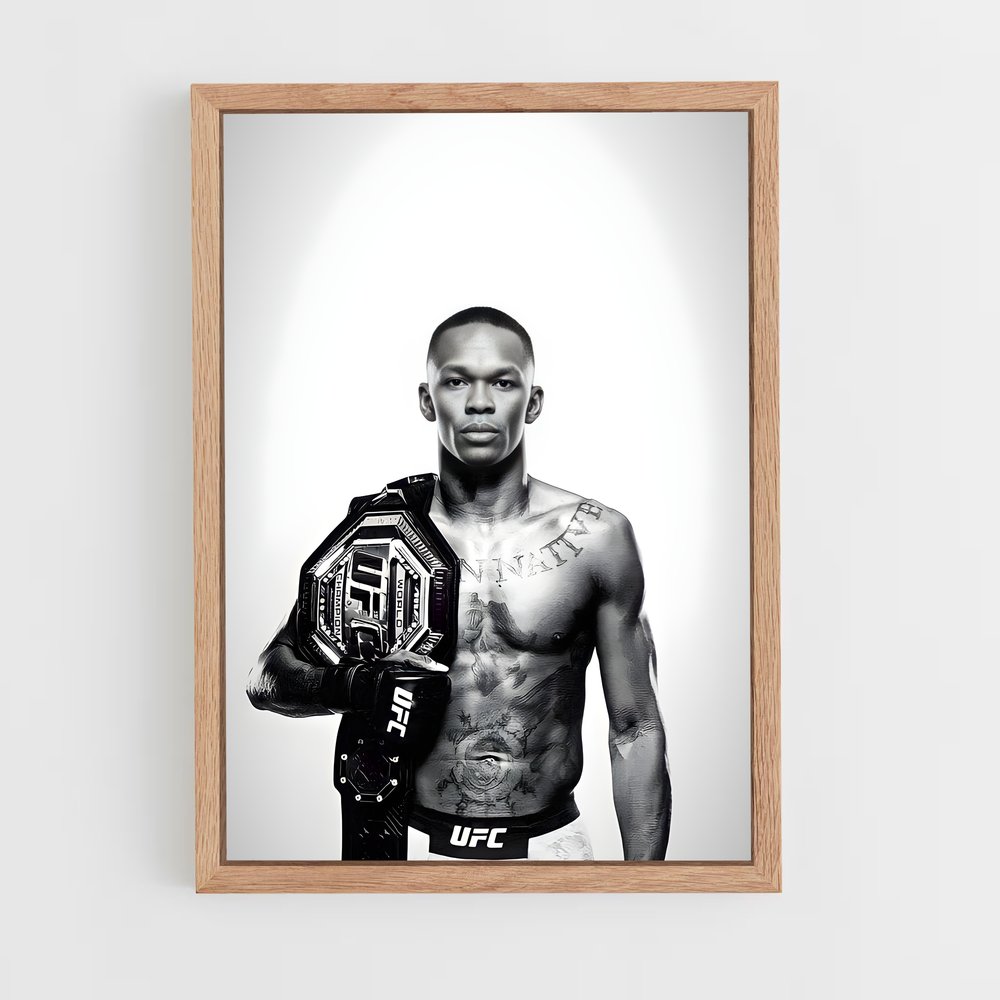 Poster The Last Stylebender – affiche MMA (vue 4)